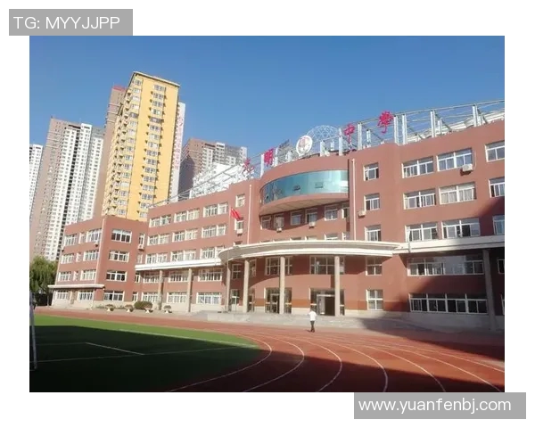 朱俊龙：从青涩少年到职场精英的成长之路与奋斗故事